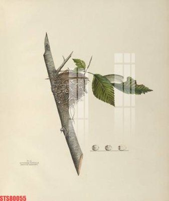 File tranh trang trí Tranh sơn dầu phương tây tổng hợp STS80055 (tải file gốc)