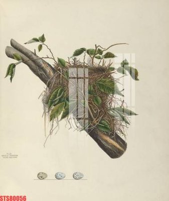 Tải file Tranh sơn dầu phương tây tổng hợp STS80056 (PSD) cho in ấn quảng cáo