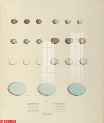 Tải file Tranh sơn dầu phương tây tổng hợp STS80058 (PSD) cho in tranh kính