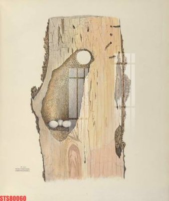 Tải file gốc Tranh sơn dầu phương tây tổng hợp STS80060 (in bạt) quảng cáo