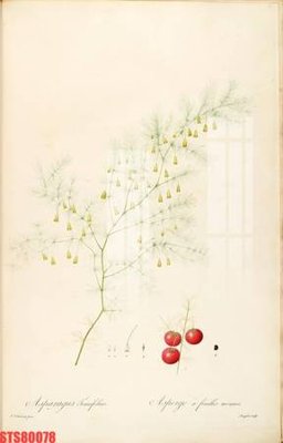 Mua file gốc Tranh sơn dầu phương tây tổng hợp STS80078 (chất lượng) tại Filetranh.com