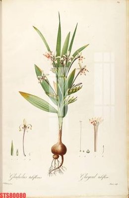 Mua file gốc Tranh sơn dầu phương tây tổng hợp STS80080 (PSD) tại Filetranh.com