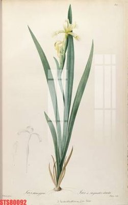 Hình ảnh file gốc in lụa Tranh sơn dầu phương tây tổng hợp STS80092