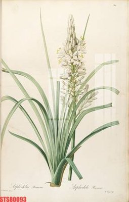 File in trần Tranh sơn dầu phương tây tổng hợp STS80093 (bản gốc) trời sao