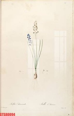 Chi tiết file tranh tráng gương Tranh sơn dầu phương tây tổng hợp STS80094 (ảnh gốc)