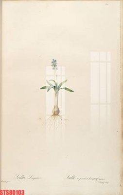 File gốc Tranh sơn dầu phương tây tổng hợp STS80103 (PNG) chất lượng cao