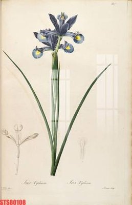 File tranh gốc Tranh sơn dầu phương tây tổng hợp STS80108 (sắc nét từng chi tiết)