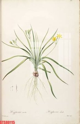 Download file Tranh sơn dầu phương tây tổng hợp STS80115 (chuẩn in) chất lượng cao