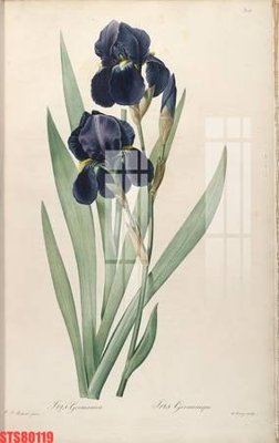 Tải file gốc Tranh sơn dầu phương tây tổng hợp STS80119 (in tráng gương) siêu đẹpFile tranh gốc Tranh sơn dầu phương tây tổng hợp STS80119 chất lượng cao