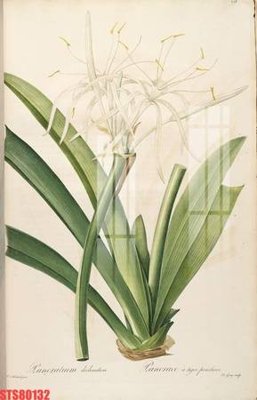 Chi tiết file tranh tráng gương Tranh sơn dầu phương tây tổng hợp STS80132 (ảnh gốc)