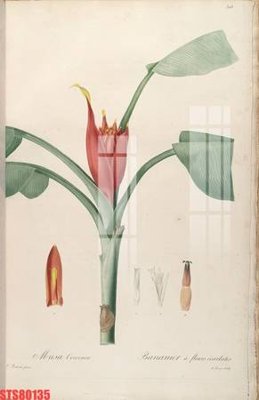 Tải file Tranh sơn dầu phương tây tổng hợp STS80135 (gốc) chủ đề tôn giáo