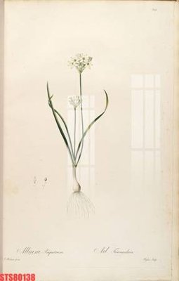 Download file Tranh sơn dầu phương tây tổng hợp STS80138 (chất lượng in ấn)