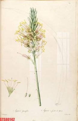 File tranh Tranh sơn dầu phương tây tổng hợp STS80142 (gốc) in backlit film