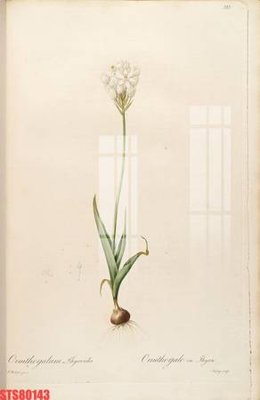 File tranh gốc Tranh sơn dầu phương tây tổng hợp STS80143 (bản đẹp) độc quyền