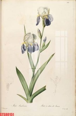 Tải file Tranh sơn dầu phương tây tổng hợp STS80151 (gốc) in nhanh