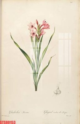 File in mica Tranh sơn dầu phương tây tổng hợp STS80153 (ảnh gốc) đẹp