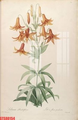 File gốc Tranh sơn dầu phương tây tổng hợp STS80154 (in lụa) tranh mã đáo