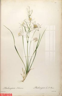 File gốc in mica Tranh sơn dầu phương tây tổng hợp STS80159 chất lượng