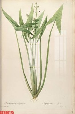 Hình ảnh file gốc in lụa Tranh sơn dầu phương tây tổng hợp STS80175