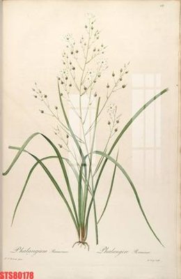 File ảnh Tranh sơn dầu phương tây tổng hợp STS80178 (gốc) cho trang trí nhà hàng