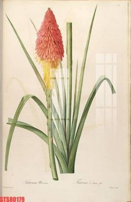 File gốc in ấn Tranh sơn dầu phương tây tổng hợp STS80179 độ phân giải cao