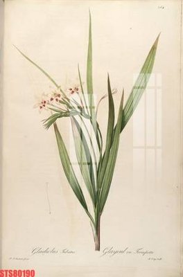 File ảnh Tranh sơn dầu phương tây tổng hợp STS80190 (gốc) dùng in Pano