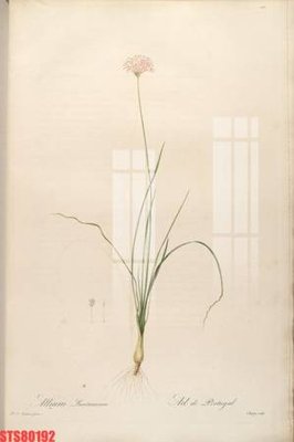 File gốc Tranh sơn dầu phương tây tổng hợp STS80192 (phong cách) tối giản