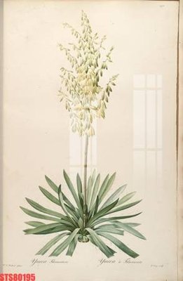 File in trần Tranh sơn dầu phương tây tổng hợp STS80195 (bản gốc) 5D