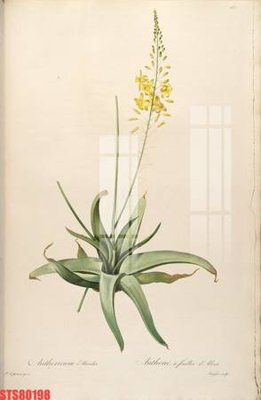 Tải file Tranh sơn dầu phương tây tổng hợp STS80198 (ảnh gốc) file TIFF