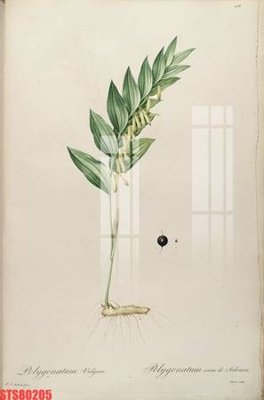 File tranh PSD Tranh sơn dầu phương tây tổng hợp STS80205 chất lượng cao