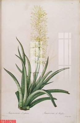 Tải file gốc Tranh sơn dầu phương tây tổng hợp STS80208 (in không vỡ ảnh)