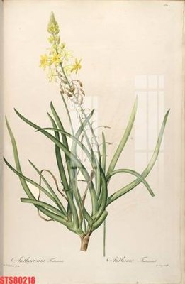 File gốc Tranh sơn dầu phương tây tổng hợp STS80218 (in mica) trang trí