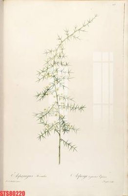 Download file gốc Tranh sơn dầu phương tây tổng hợp STS80220 (độ nét cao)