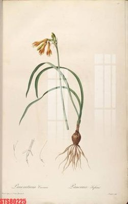 File PSD Tranh sơn dầu phương tây tổng hợp STS80225 (bản gốc) dễ dàng edit