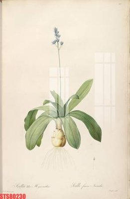 File gốc Tranh sơn dầu phương tây tổng hợp STS80230 (in mica) trang trí