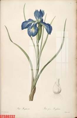 File in trần Tranh sơn dầu phương tây tổng hợp STS80232 (bản gốc) trời sao