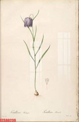 File in mica Tranh sơn dầu phương tây tổng hợp STS80239 (bản gốc) làm vách ngăn