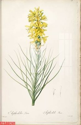 File ảnh Tranh sơn dầu phương tây tổng hợp STS80241 (gốc) cho trang trí nhà hàng