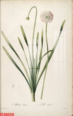 File tranh Tranh sơn dầu phương tây tổng hợp STS80247 (gốc) chủ đề trừu tượng