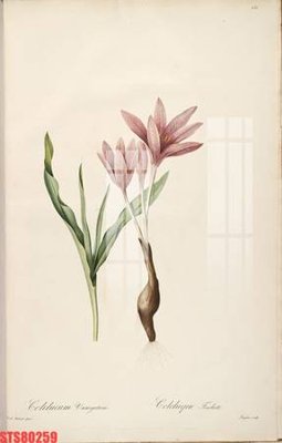 File PSD Tranh sơn dầu phương tây tổng hợp STS80259 (nguyên bản) cho thiết kế