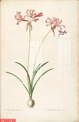 Tải file Tranh sơn dầu phương tây tổng hợp STS80266 (PSD) cho in tranh 3D