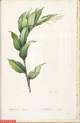 Tải file Tranh sơn dầu phương tây tổng hợp STS80268 (gốc) chủ đề tâm linh