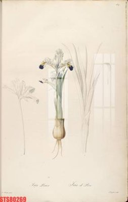 File tranh gốc PSD Tranh sơn dầu phương tây tổng hợp STS80269 còn nguyên layer