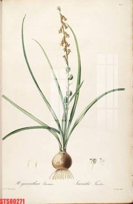 File tranh in trần 3D Tranh sơn dầu phương tây tổng hợp STS80271 (ảnh gốc)