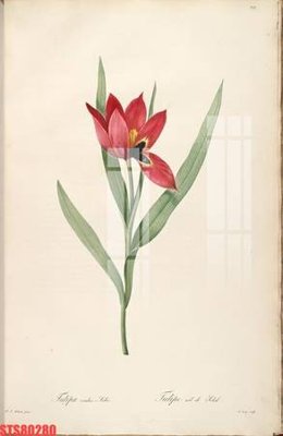 Tải file Tranh sơn dầu phương tây tổng hợp STS80280 (gốc) chủ đề tâm linh