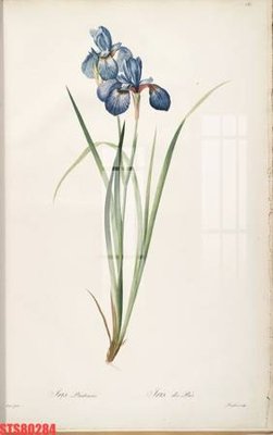 File gốc Tranh sơn dầu phương tây tổng hợp STS80284 (in 3D) cho trang trí