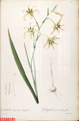 Tải file Tranh sơn dầu phương tây tổng hợp STS80291 (ảnh gốc) in gạch men