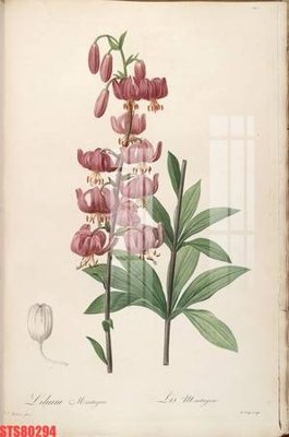 File gốc Tranh sơn dầu phương tây tổng hợp STS80294 (in lụa) tranh phong thủy