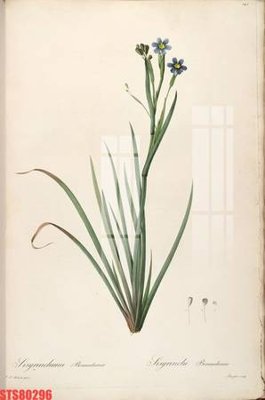 Tải file Tranh sơn dầu phương tây tổng hợp STS80296 (ảnh gốc) file AI/EPS