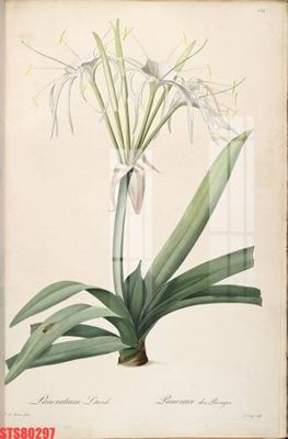 File PSD Tranh sơn dầu phương tây tổng hợp STS80297 (bản gốc) độ phân giải cao